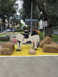 IMG_3708
