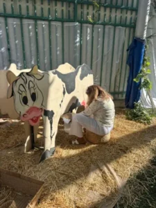 חג שבועות- מתחם חליבה