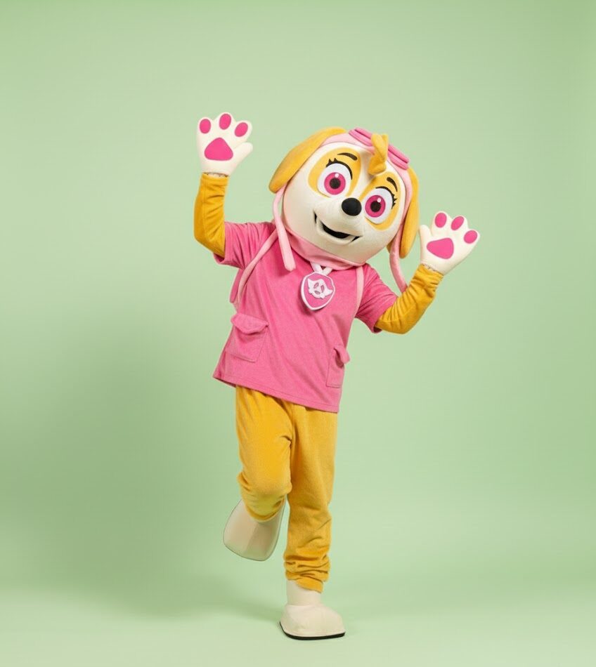 בובת תחפושת סקאי ממפרץ ההרפתקאות בצבע ורוד להשכרה