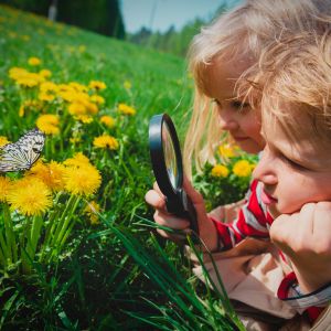טו בשבט לילדים - ילדים לומדים על חג